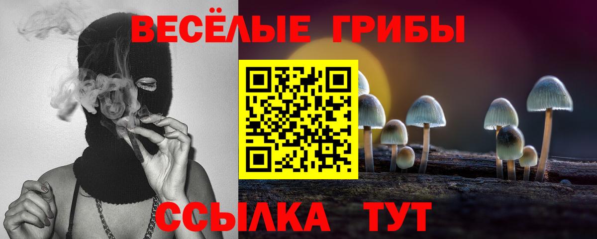 Галлюциногенные грибы прущие грибы Белебей